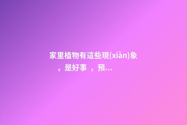 家里植物有這些現(xiàn)象，是好事，預示你家要發(fā)大財了！